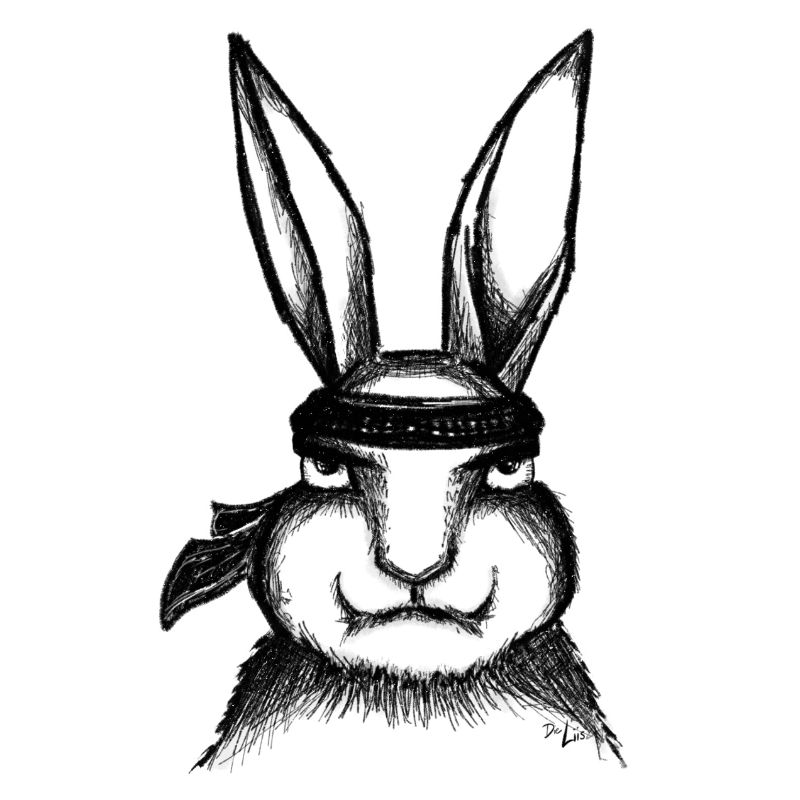 KARATE HASE