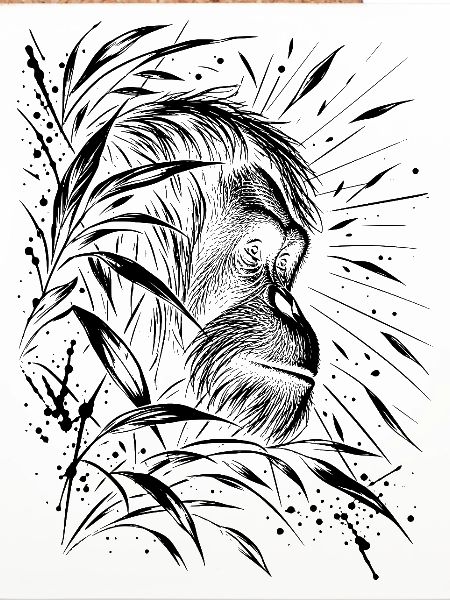 Orang Utan
