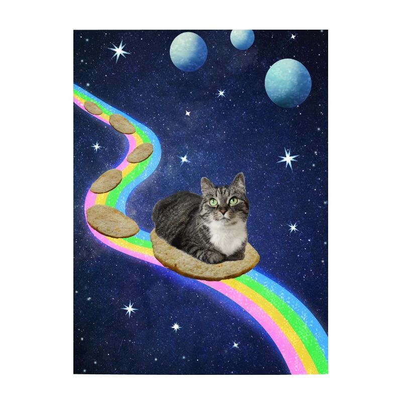 Chat mignon dans l’espace