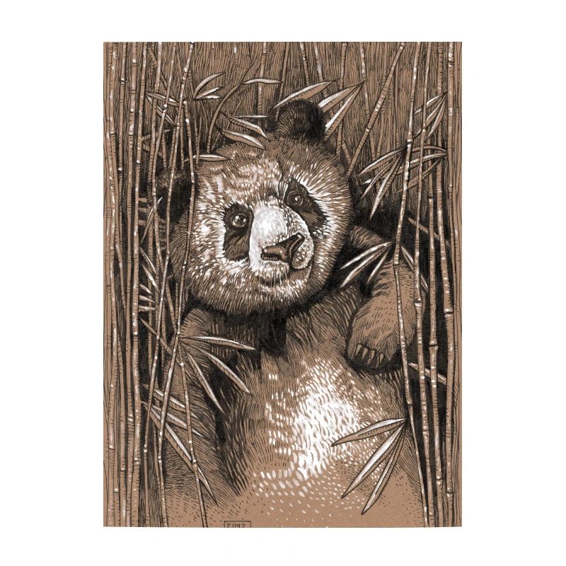 PANDA 02