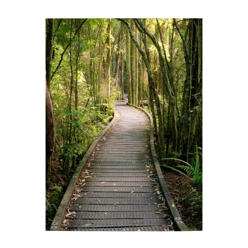Der Endlose Boardwalk – Ein Pfad durch Neuseelands