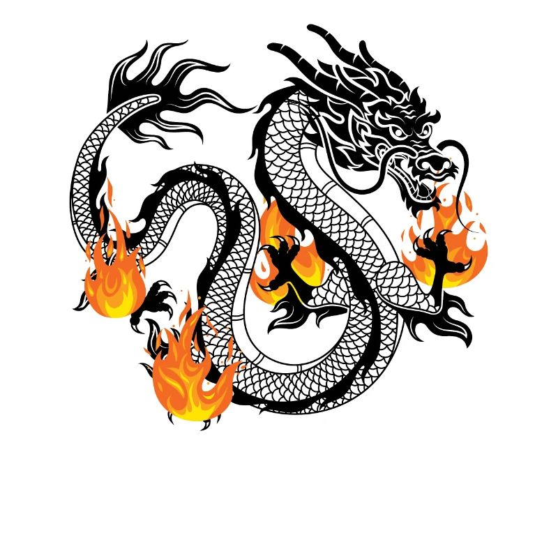 Drachen Drache Design Feuerdrache
