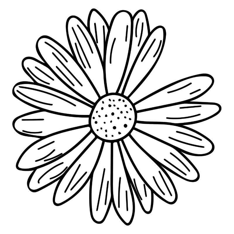 Gänseblümchen Blumenblätter