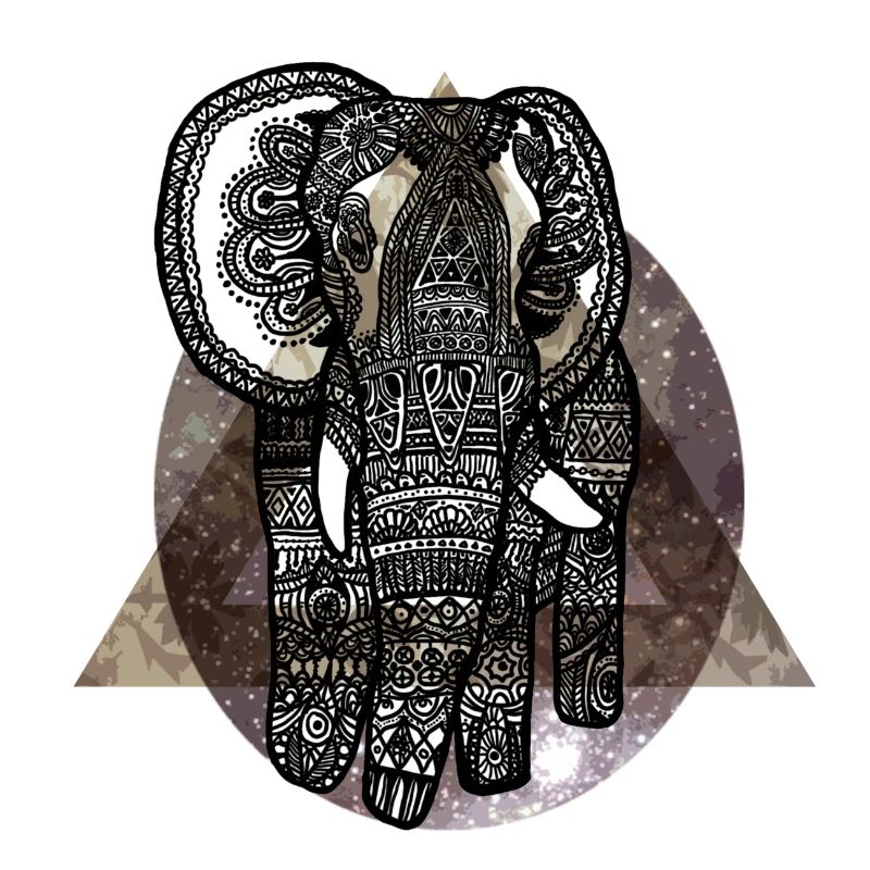 Elefant