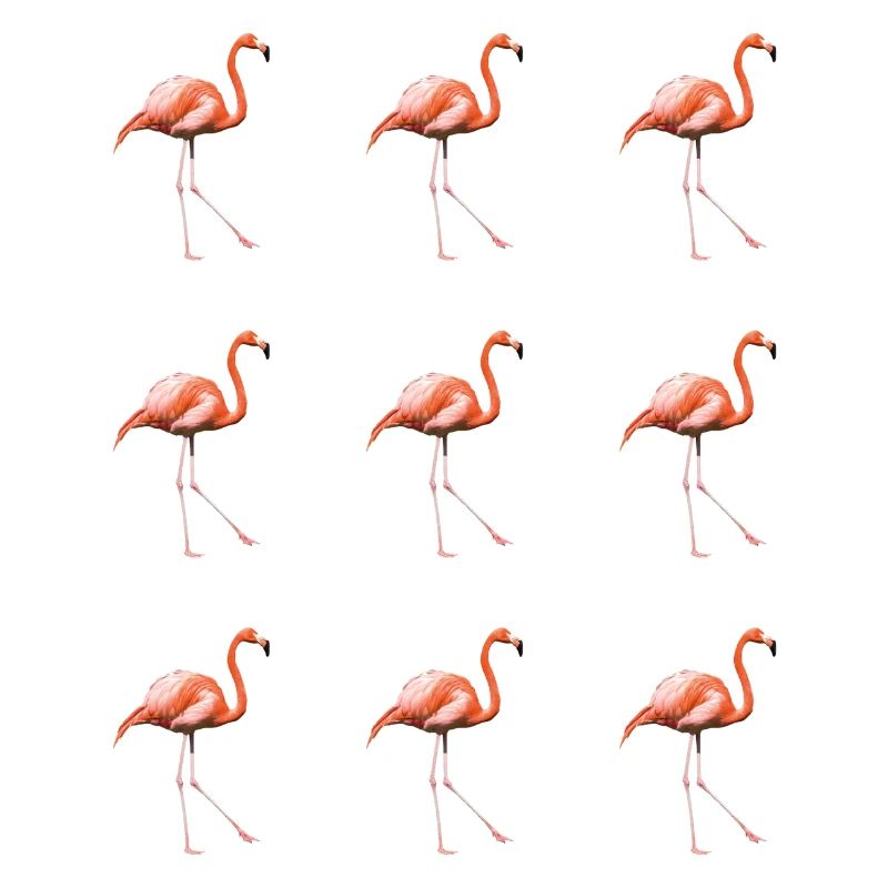 Flamingo Parade