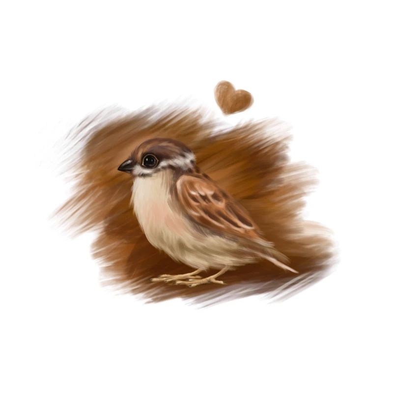 sparrow