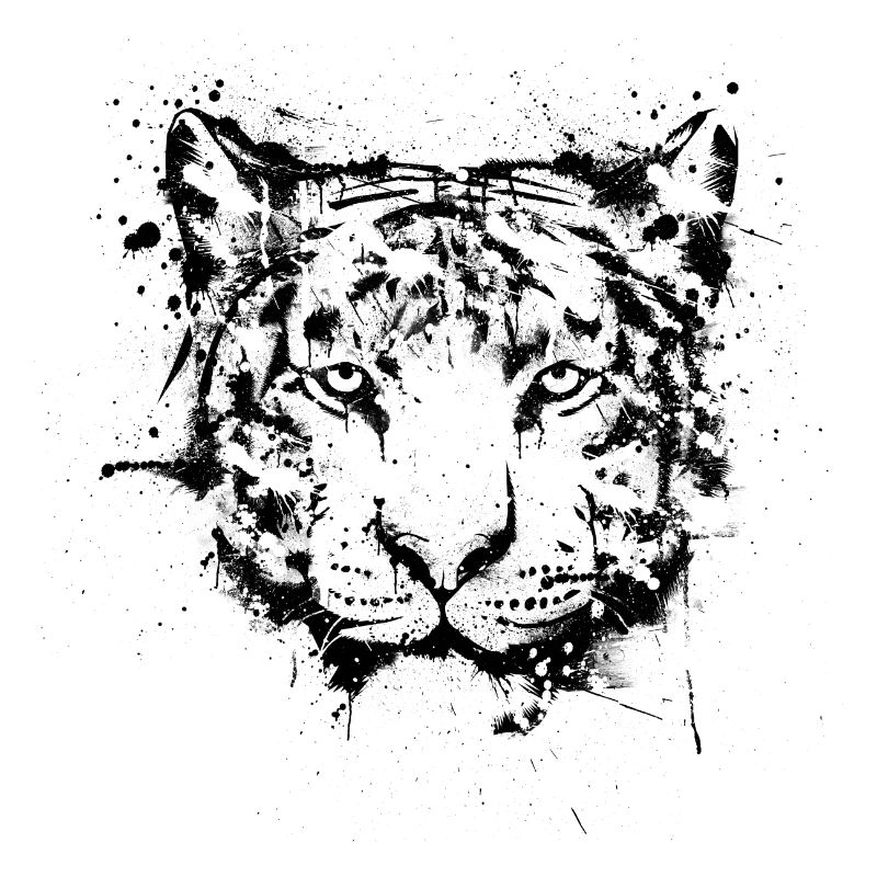 Tiger Graffiti