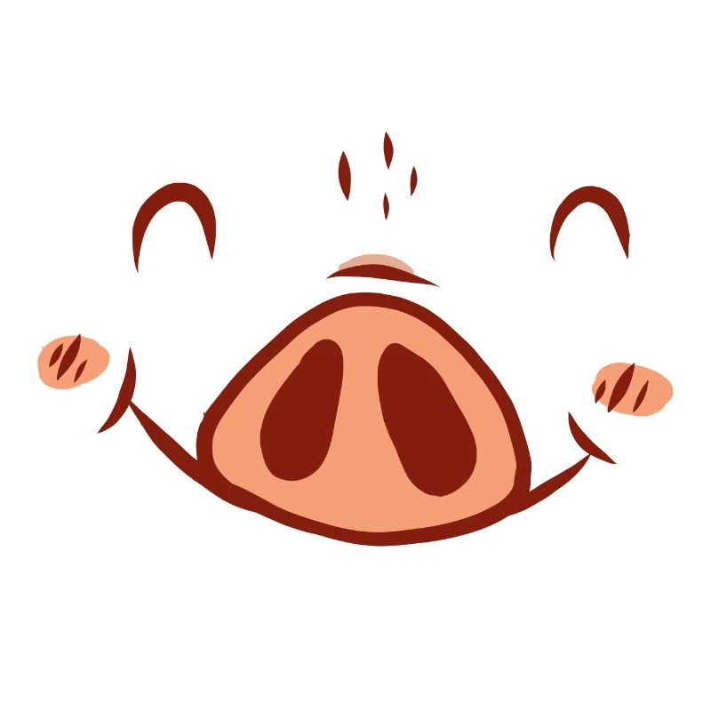 Schwein Kostüm