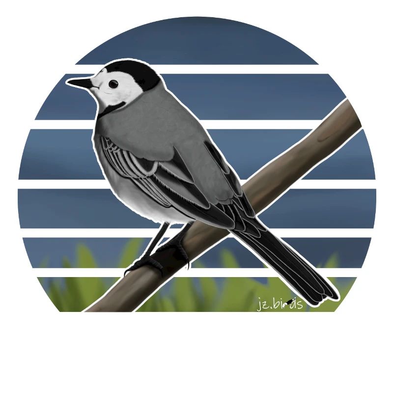 Illustration de conception d'oiseau bergeronnette peinte