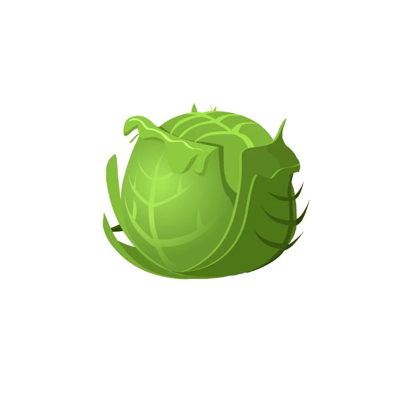 Kohlkopf