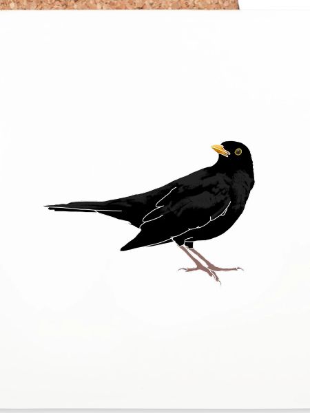 Amsel auf Dach