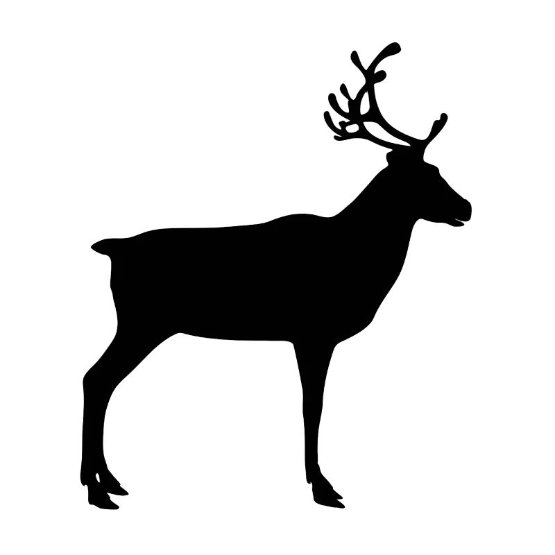 reindeer
