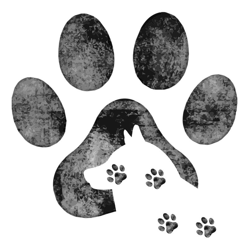 graue Malamute Pfote