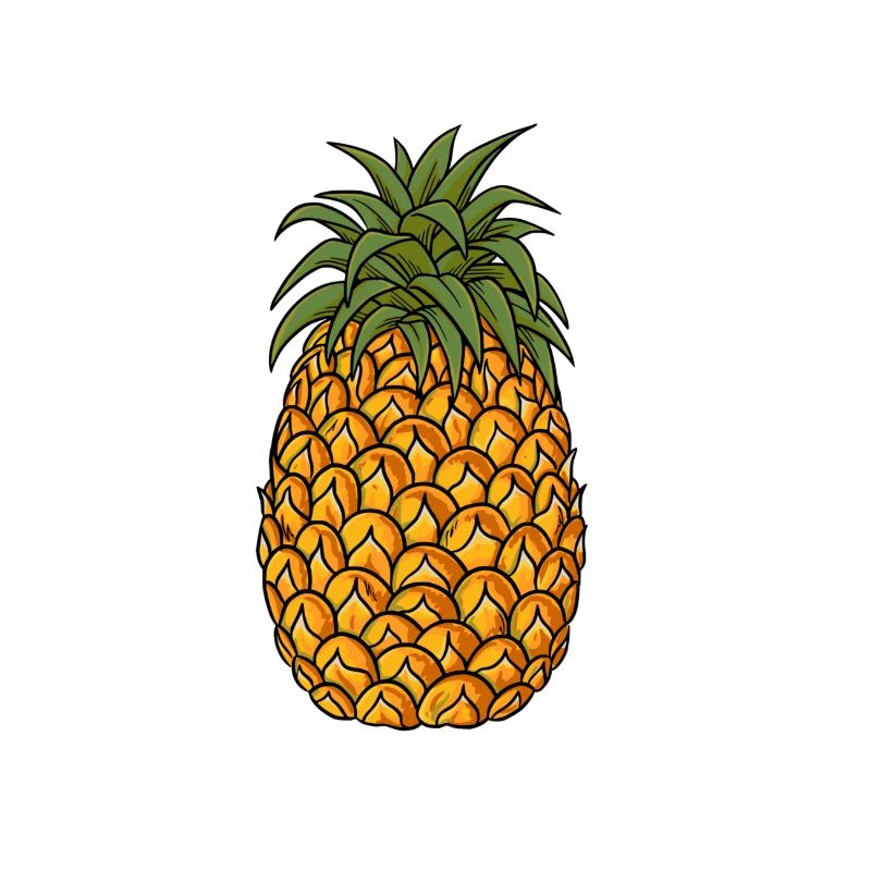 Ananas, Pineapple