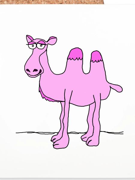 Pinkes Kamel