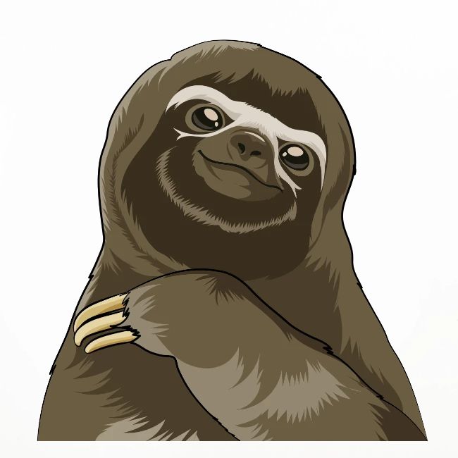 Sloth face