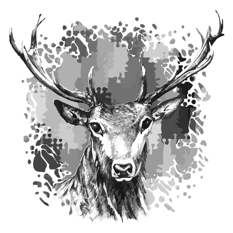 Hirsch