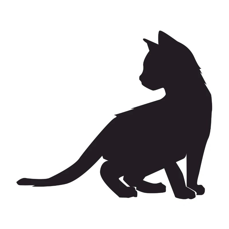 Conception de chaton