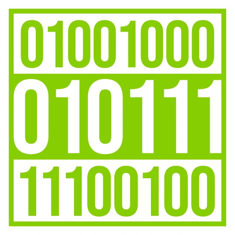 Binary Code Program Language