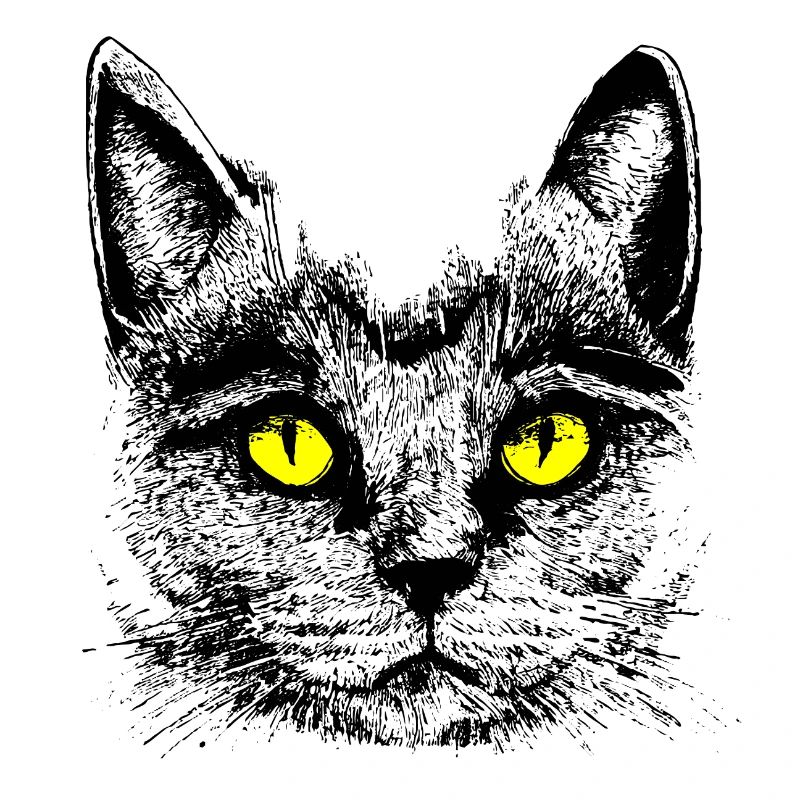 Kater Bernstein