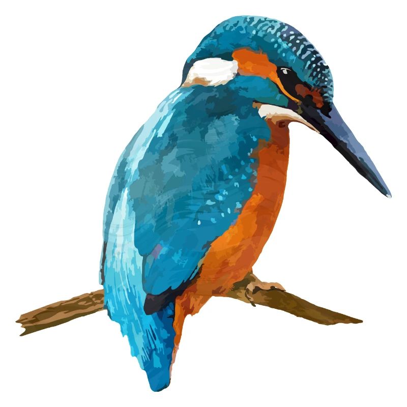 Vogel