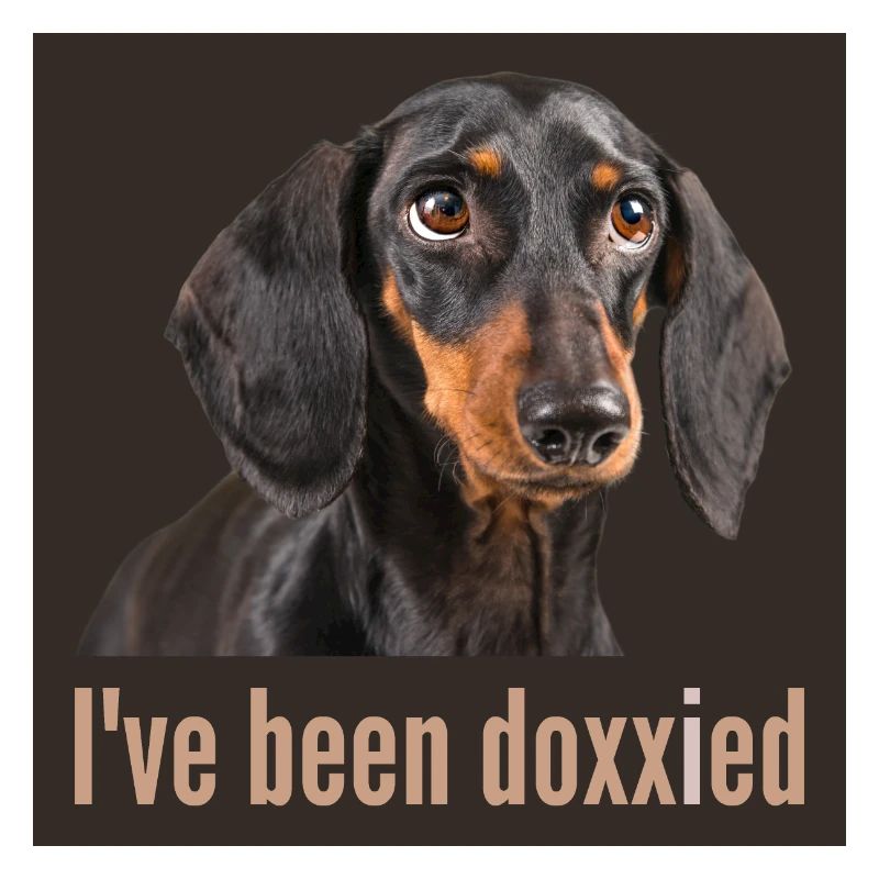 Been Doxxied PBLBBDG