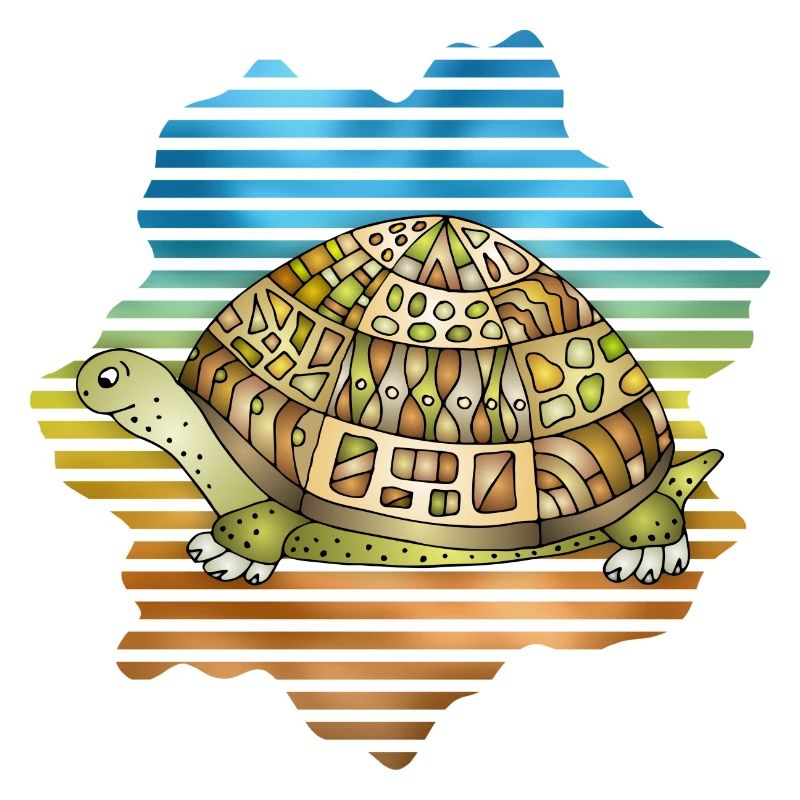 Schildkröte