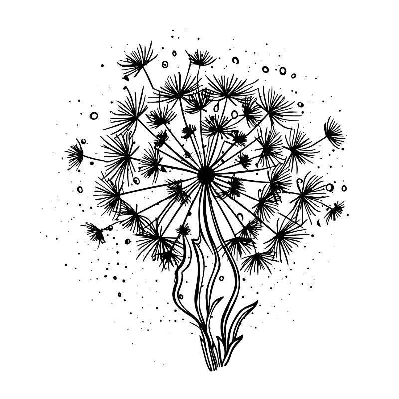 Summer Dandelion - vector illustration