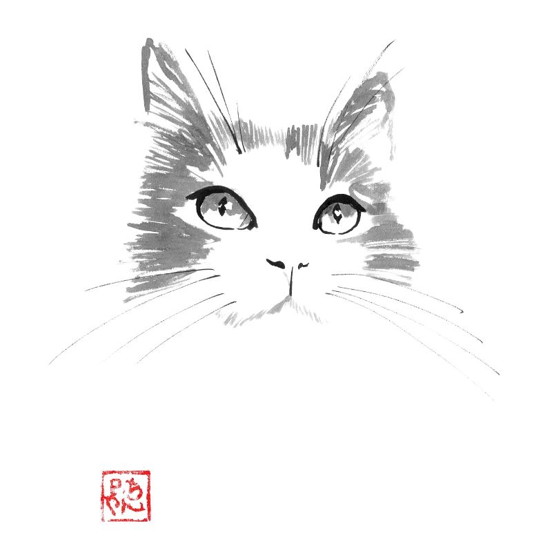 Katzengesicht
