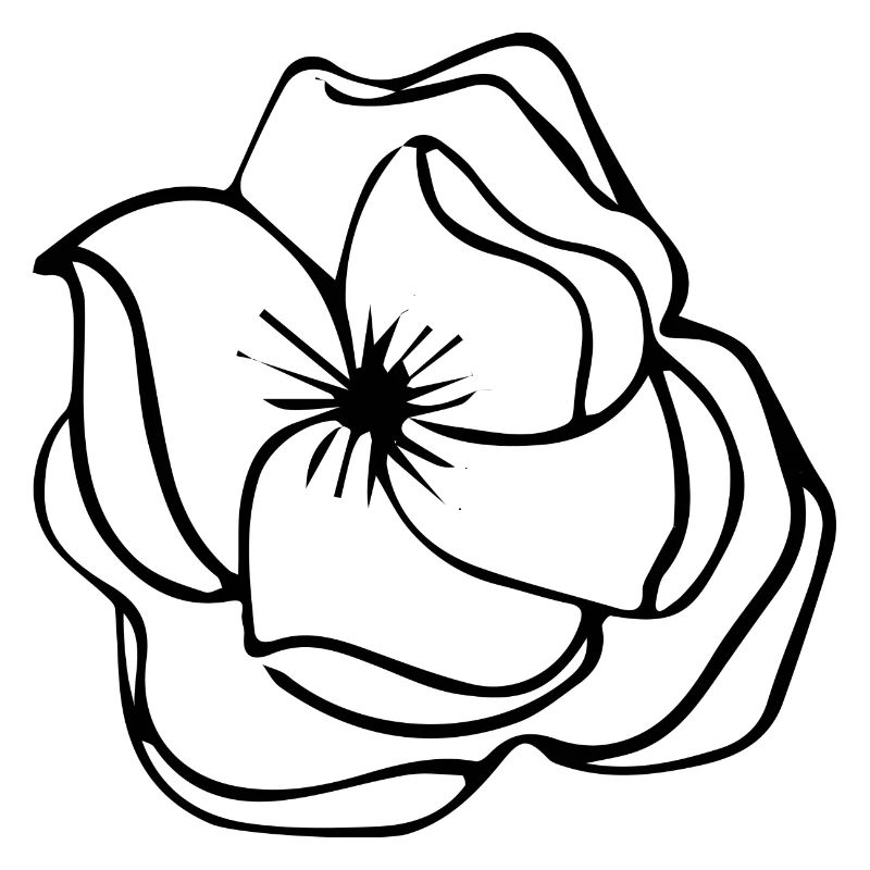 Flower Blume Pflanze