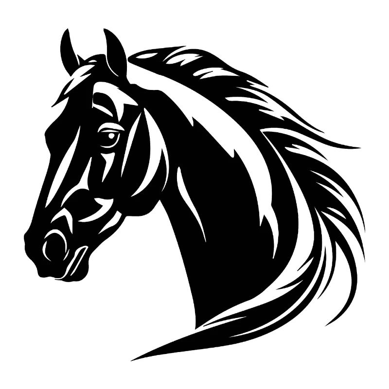 Pferd Pferdekopf Pony
