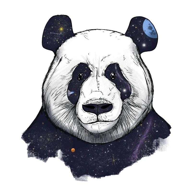 Weltraum-Panda