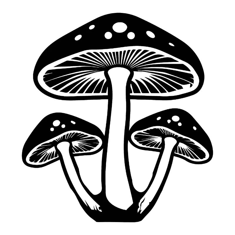Champignon Cueilleur de champignons Champignons Champignons