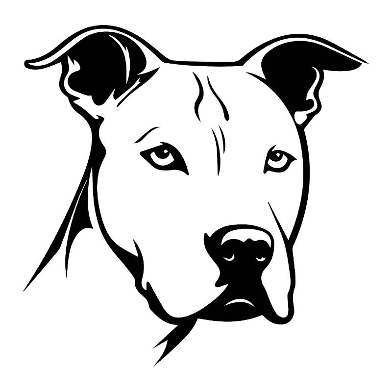 Pitbull