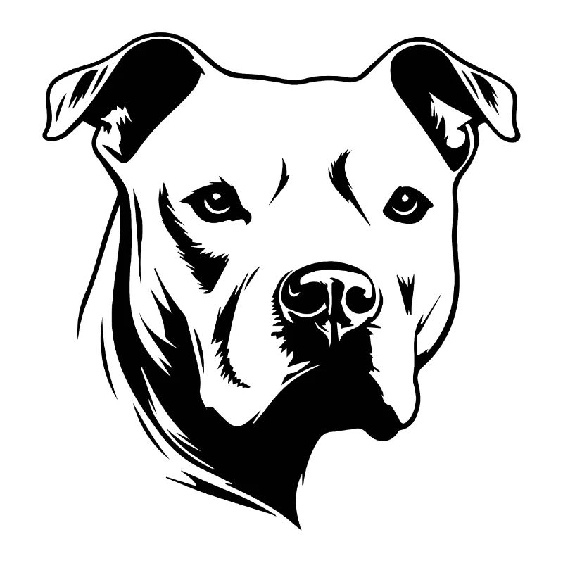 Pitbull