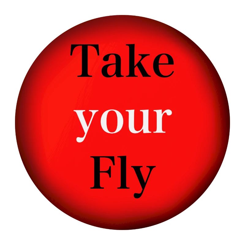 Take your Fly