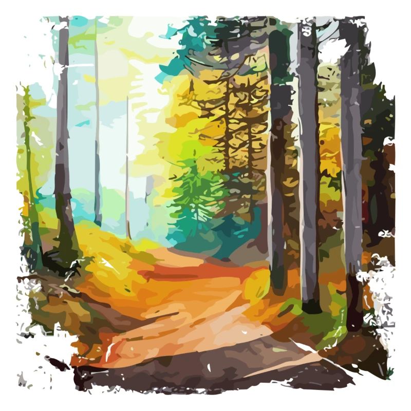 Forest🌳