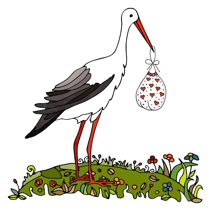 Storch