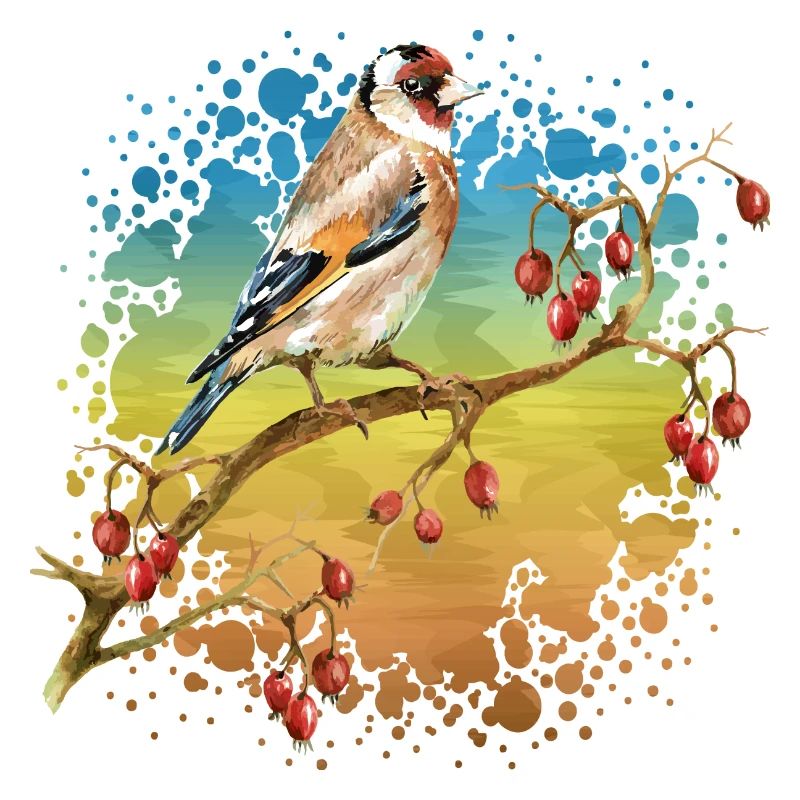 Vogel