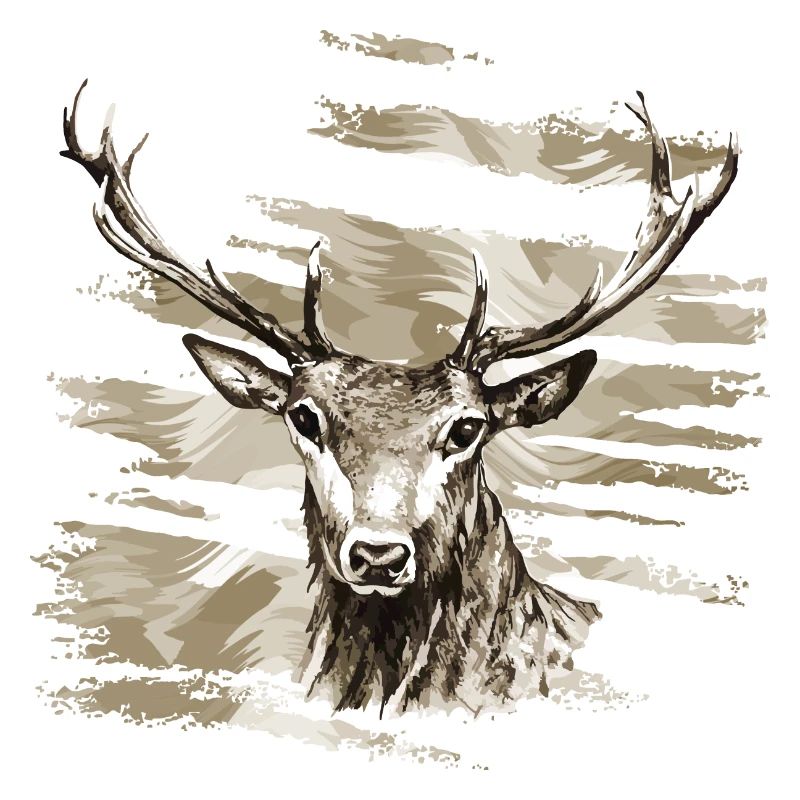 Hirsch