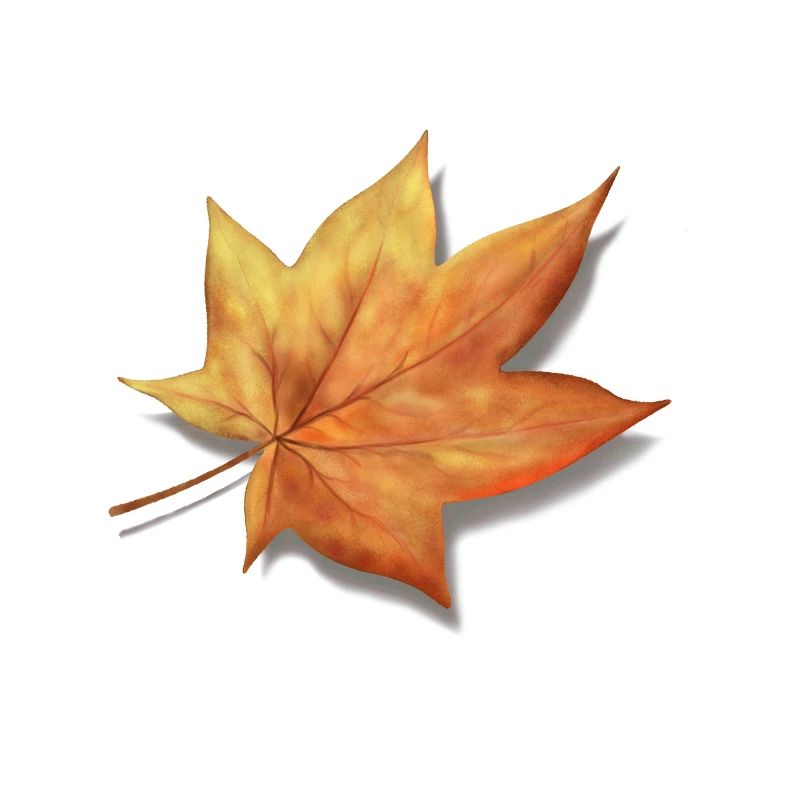 Herbstlaub