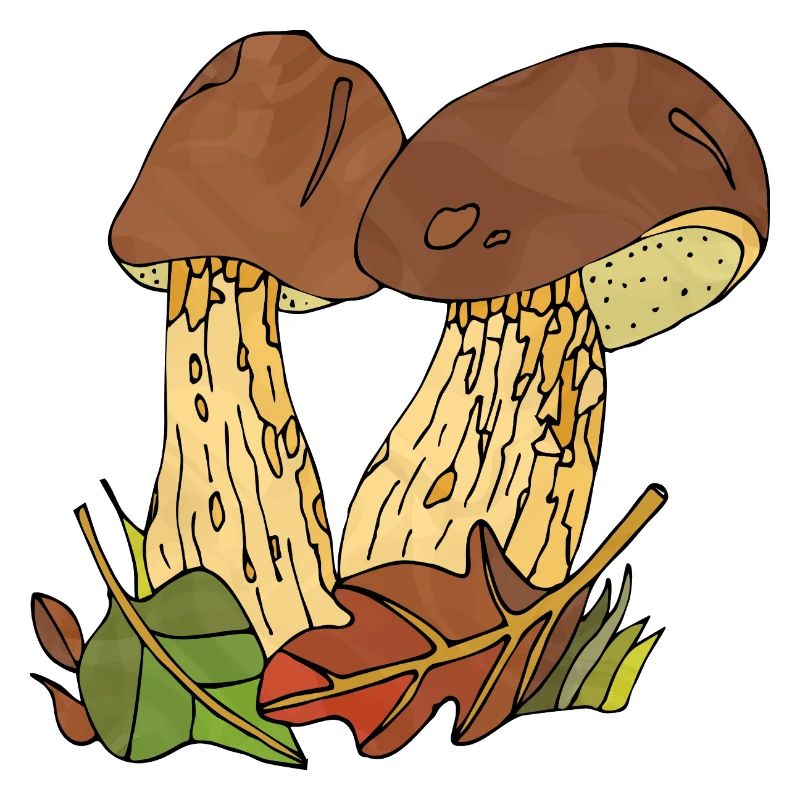 Pilze