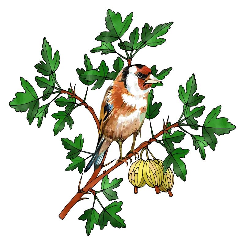 Bunter Vogel