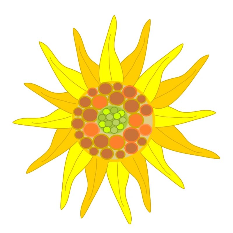 Sonnenblume