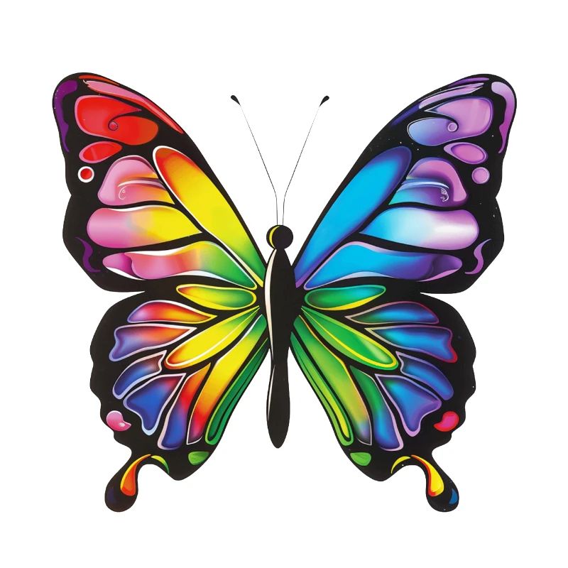Papillon papillon