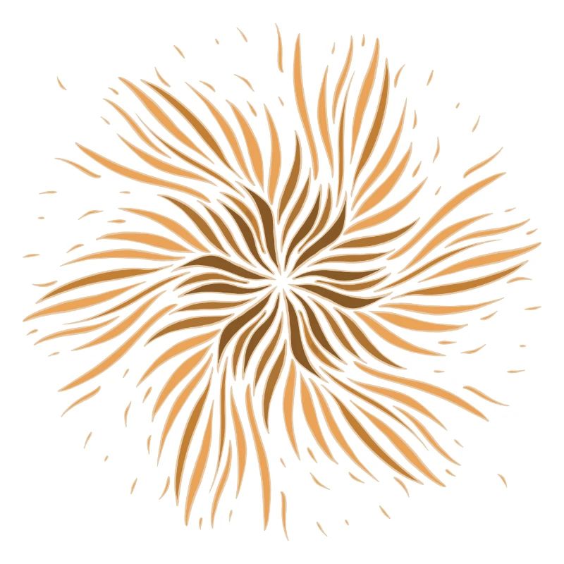 Sun Feather