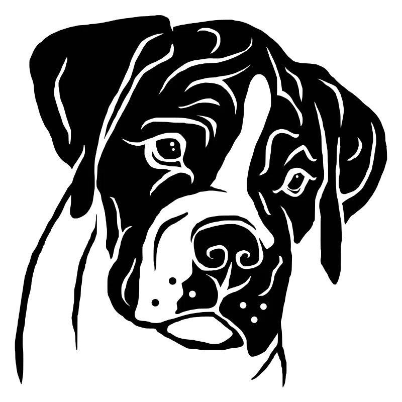 Boxer Welpe