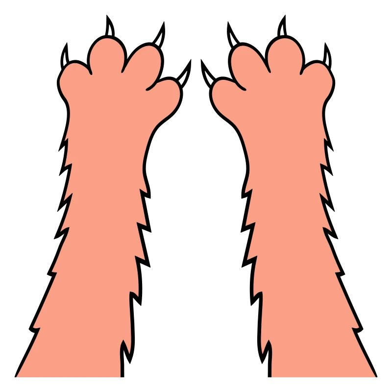 Cats, claws, paws, paws, sharp claws, scratching