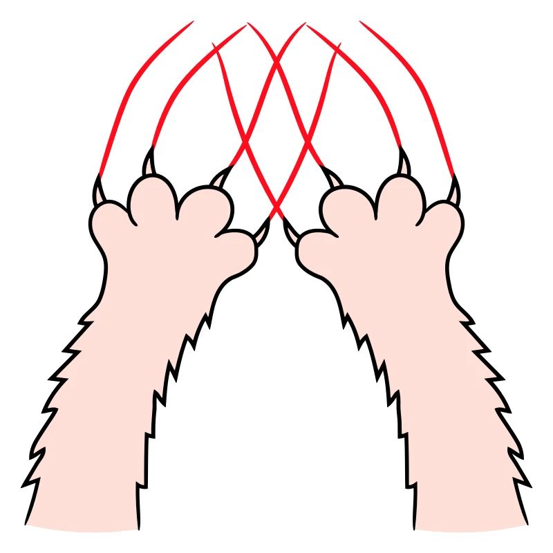 Cats, Claws, Paws, Paws, Claws, Scratches, Stripes