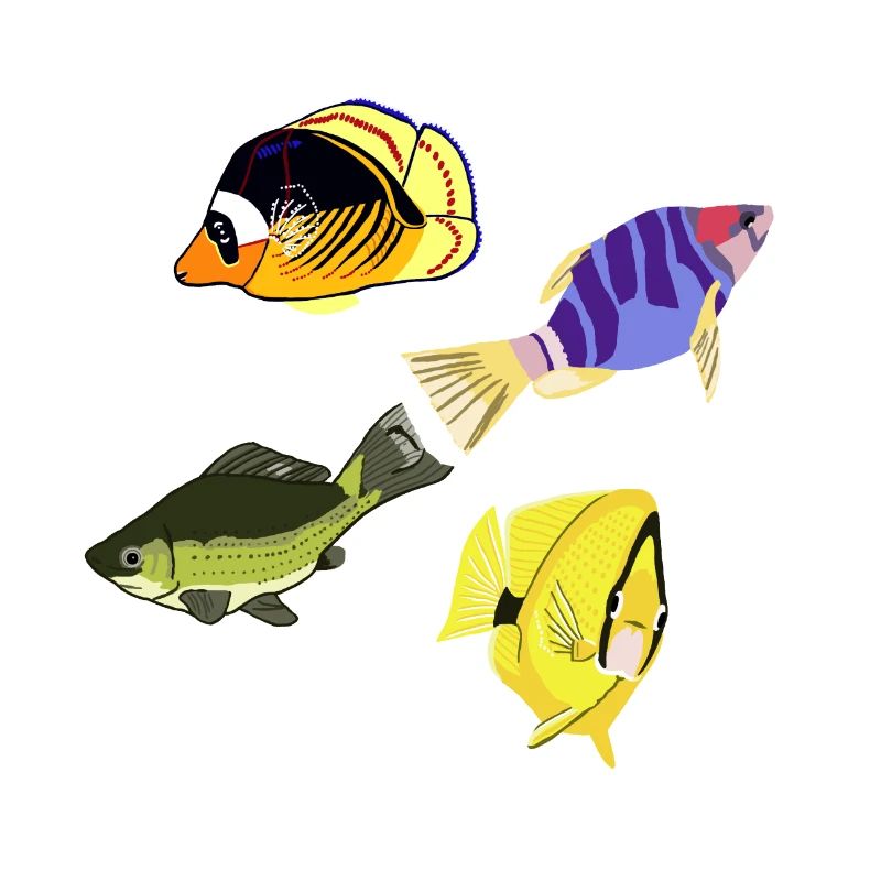 Various fish